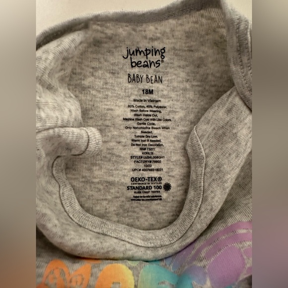 NWT Jumping Beans 18 Months Best Sister Ever Rainbow Gray Onesie - Picture 4 of 5